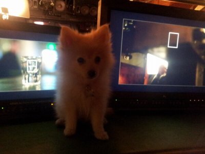 Watch The Cowdashians's leaked NSFW photo on TwXstars