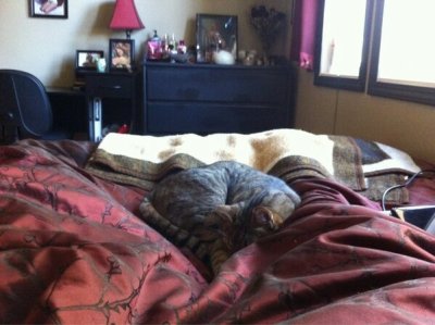 Watch Jǝѕѕica's leaked NSFW photo on TwXstars