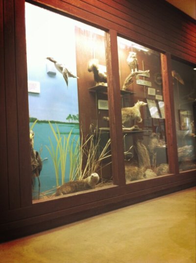 Watch Jǝѕѕica's leaked NSFW photo on TwXstars