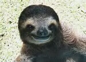 Watch Lottie Moss's leaked NSFW photo on TwXstars