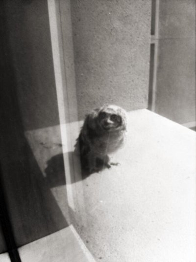 Watch Jerry's leaked NSFW photo on TwXstars