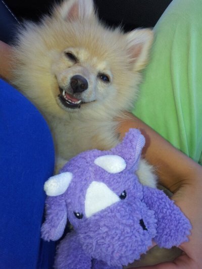 Watch The Cowdashians's leaked NSFW photo on TwXstars