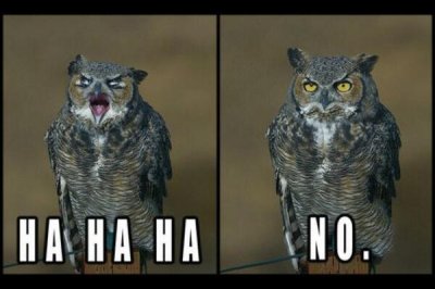 Watch Tom Howes's leaked NSFW photo on TwXstars