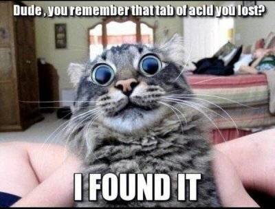 Watch The Cowdashians's leaked NSFW photo on TwXstars