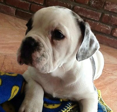 Watch Jerry's leaked NSFW photo on TwXstars