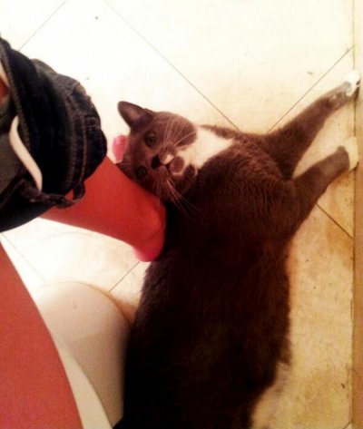 Watch The Cowdashians's leaked NSFW photo on TwXstars