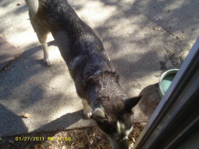 Watch Isaiah Dominguez's leaked NSFW photo on TwXstars