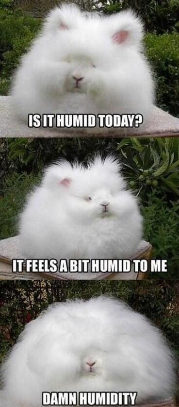 Watch Jaclyn Swedberg's leaked NSFW photo on TwXstars