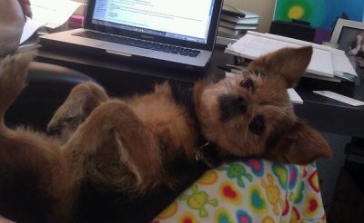 Watch Samantha Raye Tomchik's leaked NSFW photo on TwXstars