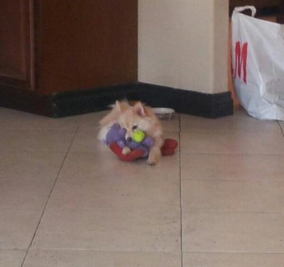 Watch The Cowdashians's leaked NSFW photo on TwXstars