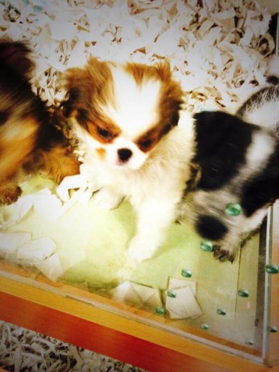 Watch Jerry's leaked NSFW photo on TwXstars