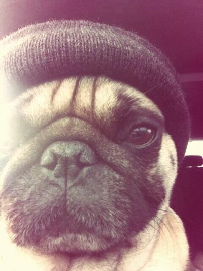 Watch Jerry's leaked NSFW photo on TwXstars