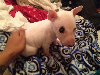 Watch Eric B.'s leaked NSFW photo on TwXstars