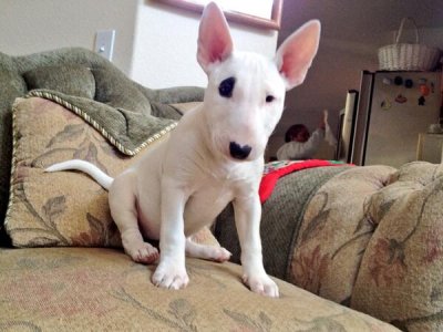 Watch Eric B.'s leaked NSFW photo on TwXstars