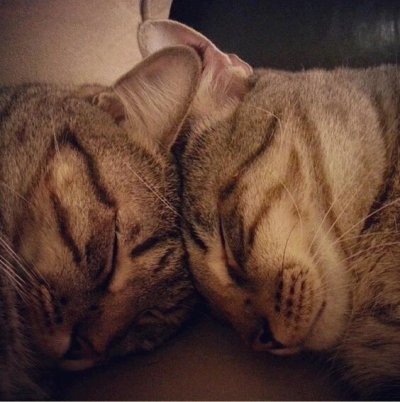 Watch Jb_mathews 💨🌿's leaked NSFW photo on TwXstars