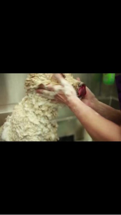 Watch Ang's leaked NSFW photo on TwXstars