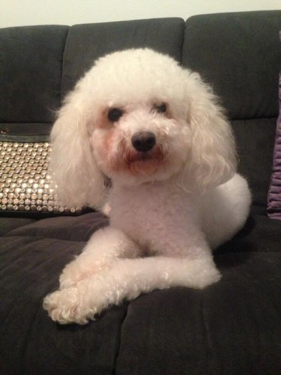 Watch Ang's leaked NSFW photo on TwXstars