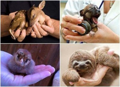 Watch Maryse Mizanin's leaked NSFW photo on TwXstars