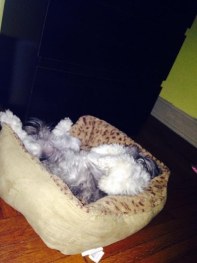 Watch Niya's leaked NSFW photo on TwXstars