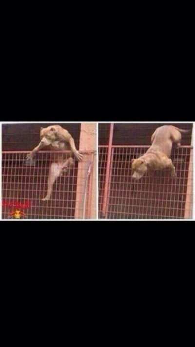 Watch Anaysia's leaked NSFW photo on TwXstars