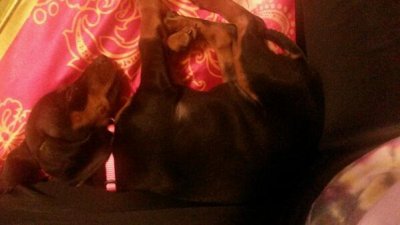 Watch La’Rue's leaked NSFW photo on TwXstars