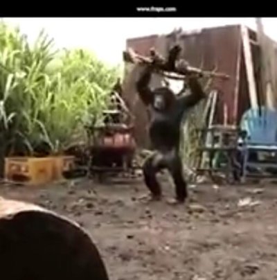 Watch Superlyndy's leaked NSFW photo on TwXstars