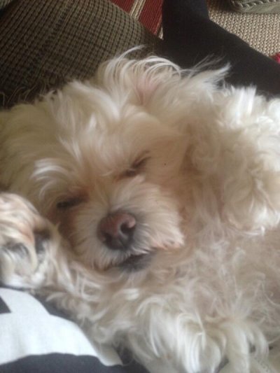 Watch LadyRica22's leaked NSFW photo on TwXstars