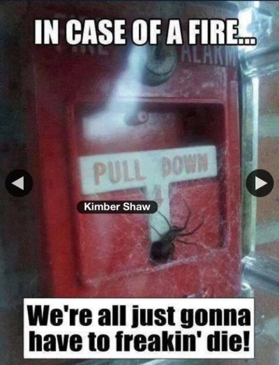 Watch Anaysia's leaked NSFW photo on TwXstars