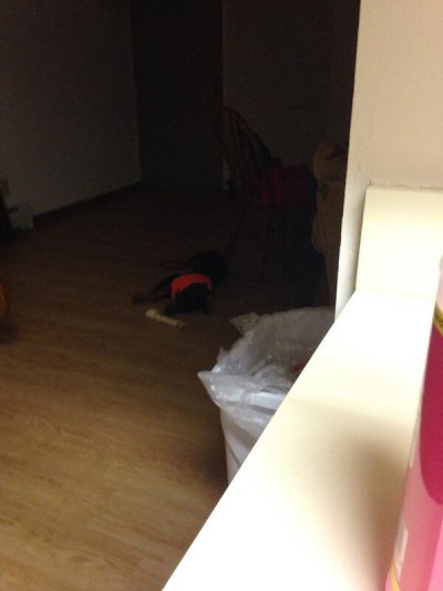 Watch Anaysia's leaked NSFW photo on TwXstars