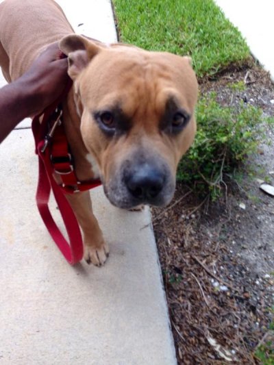 Watch Emmanuel McNeely, M.D. , MS, MHA's leaked NSFW photo on TwXstars