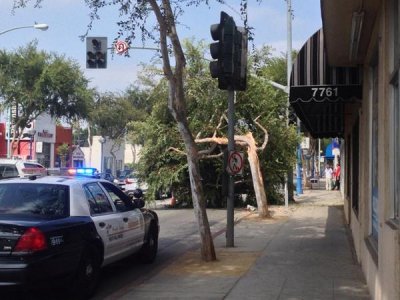 Watch sashsuicide's leaked NSFW photo on TwXstars