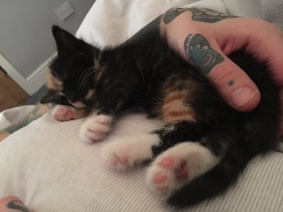 Watch GaldaLou🐐's leaked NSFW photo on TwXstars