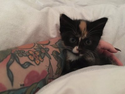 Watch GaldaLou🐐's leaked NSFW photo on TwXstars