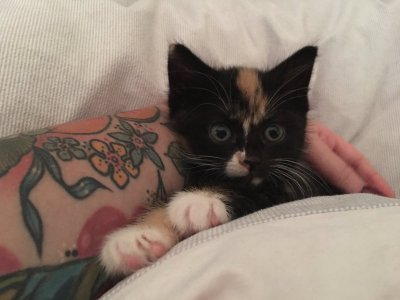 Watch GaldaLou🐐's leaked NSFW photo on TwXstars