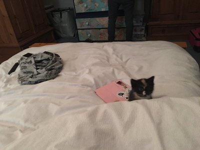 Watch GaldaLou🐐's leaked NSFW photo on TwXstars