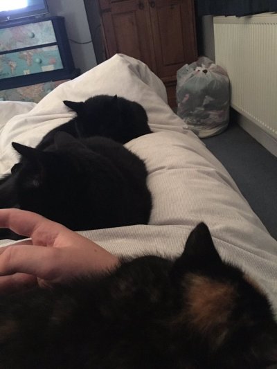 Watch GaldaLou🐐's leaked NSFW photo on TwXstars