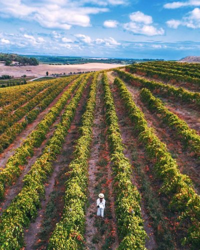 Watch South Australia's leaked NSFW photo on TwXstars