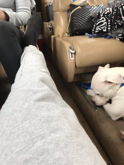 Watch Davante Adams's leaked NSFW photo on TwXstars