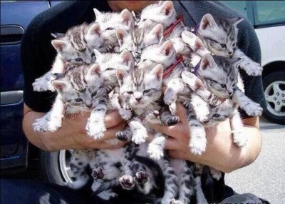 Watch 1990's leaked NSFW photo on TwXstars