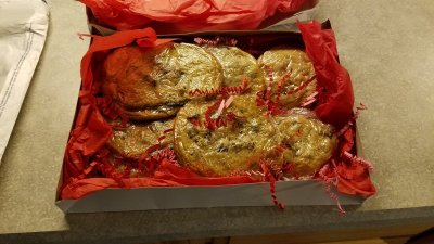 Watch stuffzplace's leaked NSFW photo on TwXstars