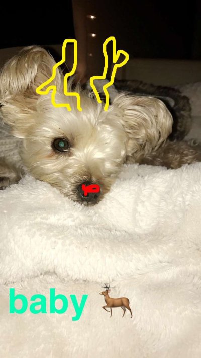 Watch Ally Lotti's leaked NSFW photo on TwXstars