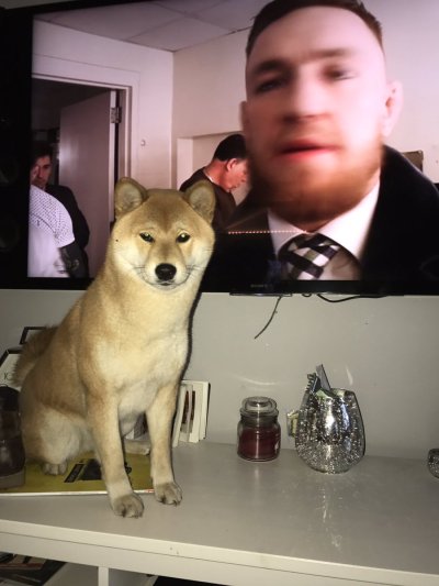 Watch Antonio's leaked NSFW photo on TwXstars