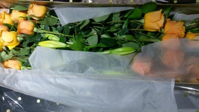 Watch loren's leaked NSFW photo on TwXstars