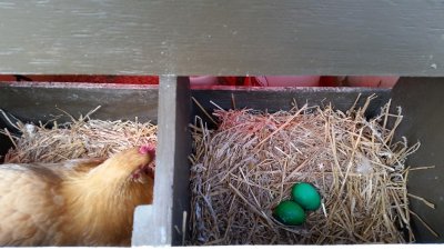 Watch Lee Cypress's leaked NSFW photo on TwXstars