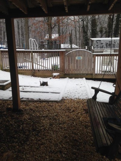 Watch Justin Hall's leaked NSFW photo on TwXstars