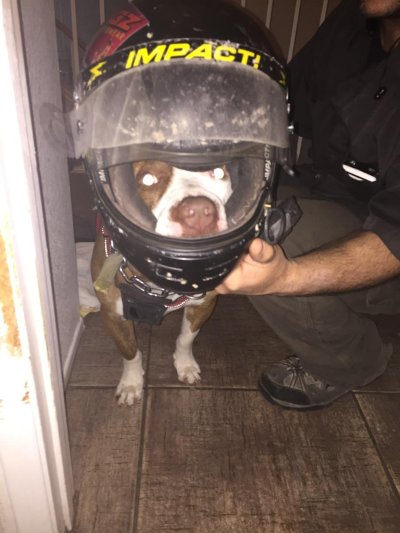 Watch Katie Kox's leaked NSFW photo on TwXstars