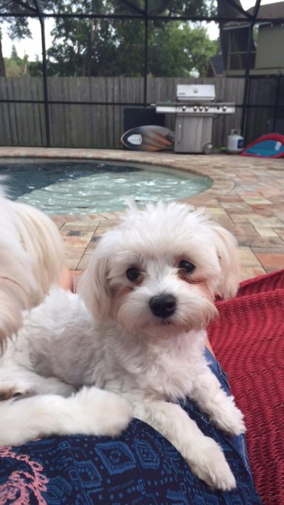 Watch Whit's leaked NSFW photo on TwXstars