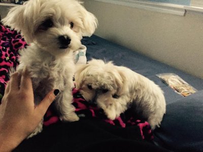 Watch Whit's leaked NSFW photo on TwXstars