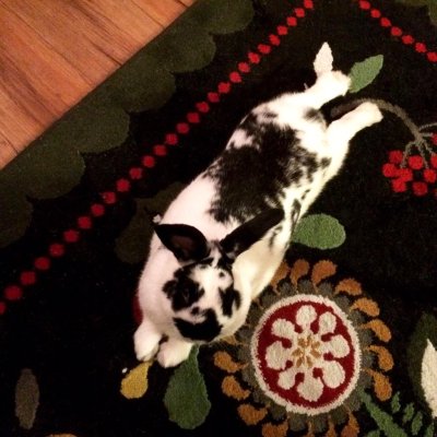 Watch theobanoth's leaked NSFW photo on TwXstars