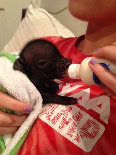 Watch Justin Hall's leaked NSFW photo on TwXstars